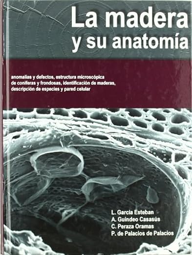La Madera Y Su Anatomia